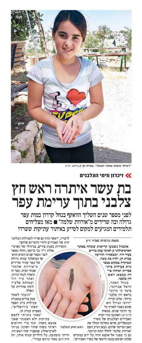 כתבה
